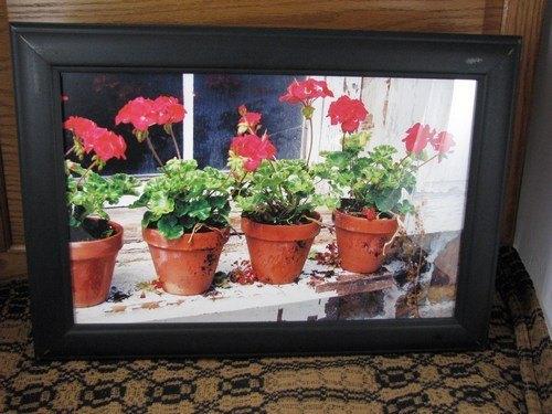 Irvin Hoover Artwork - Geranium Pots - Primitive Star Quilt Shop