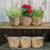 Mesh Basket with Three Burlap Planters